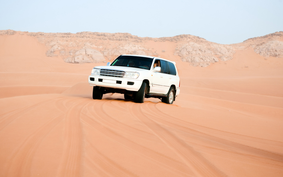 DESERT SAFARI 