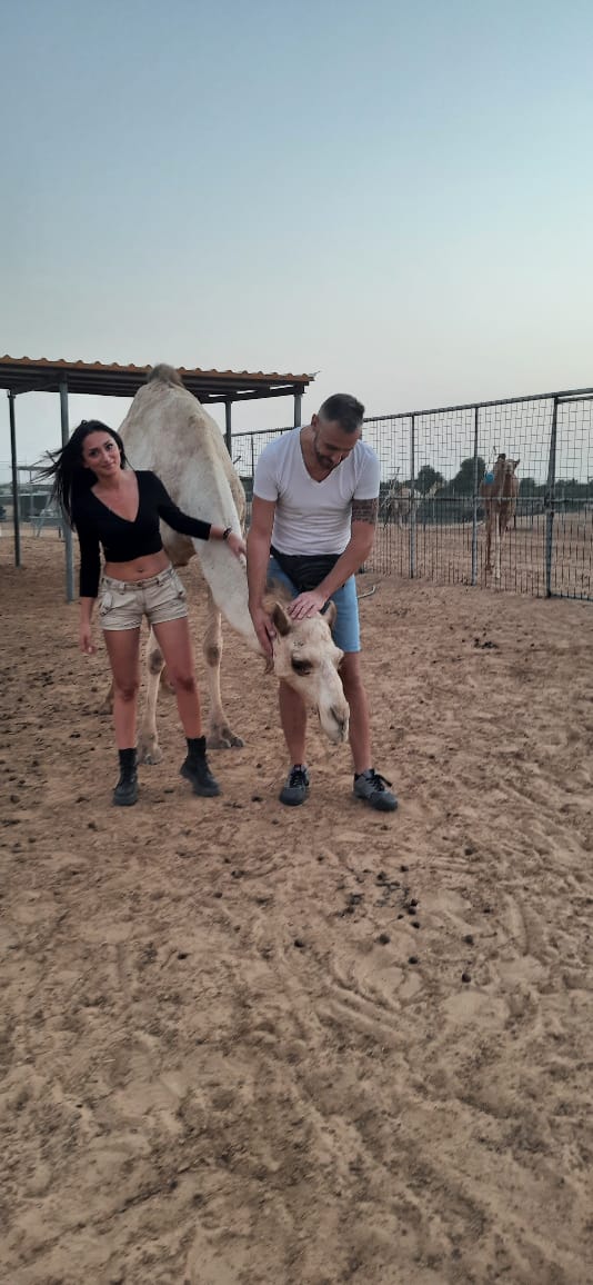 desert safari dubai