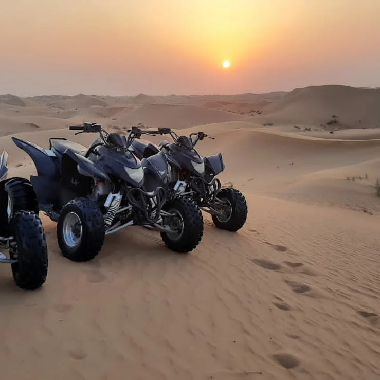 buggy safari