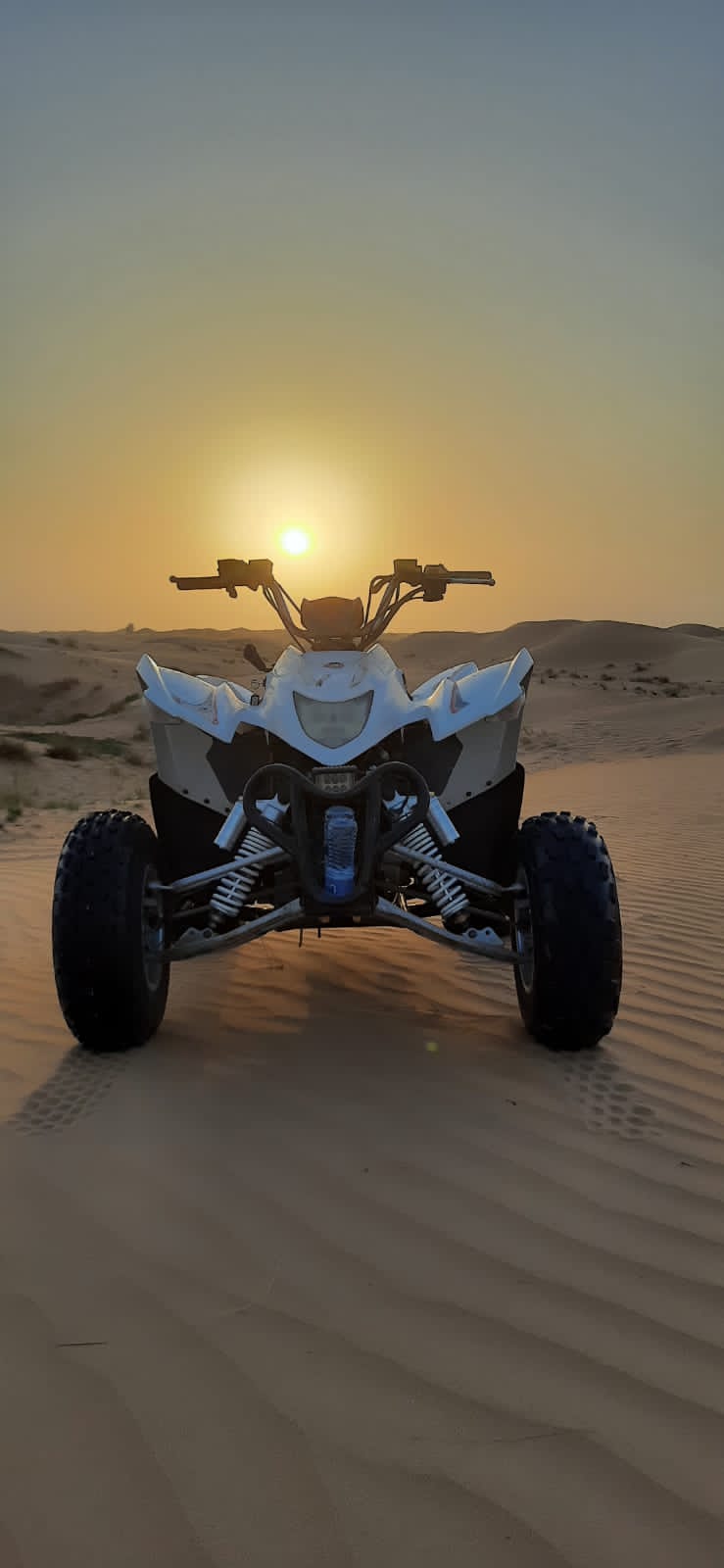 buggy tour
