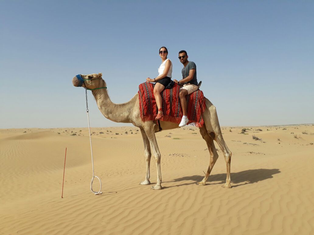 Camel safari