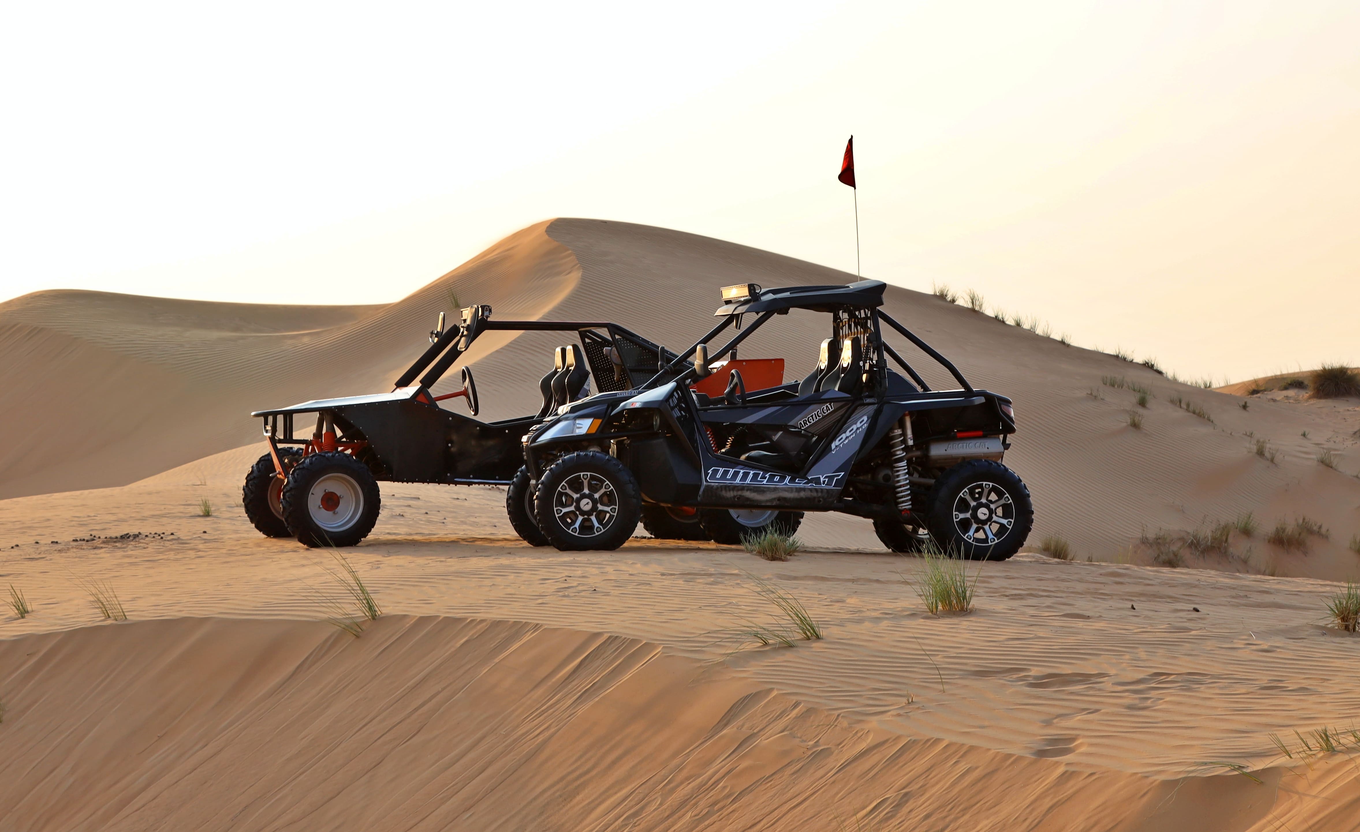 quad buggy safari