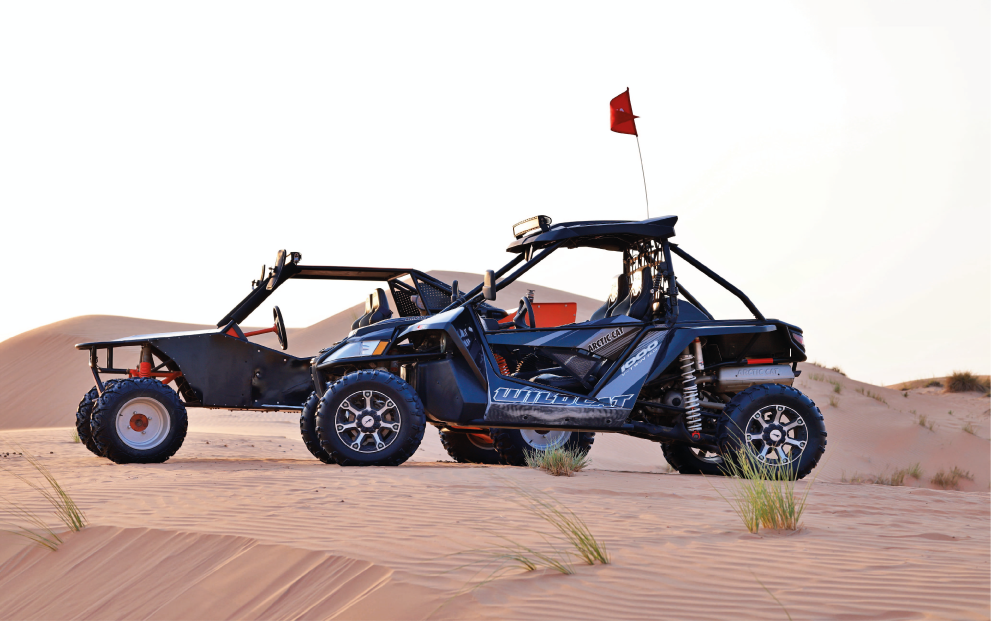 buggy safari 