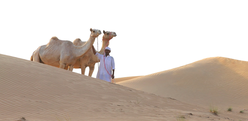 DESERT SAFARI
