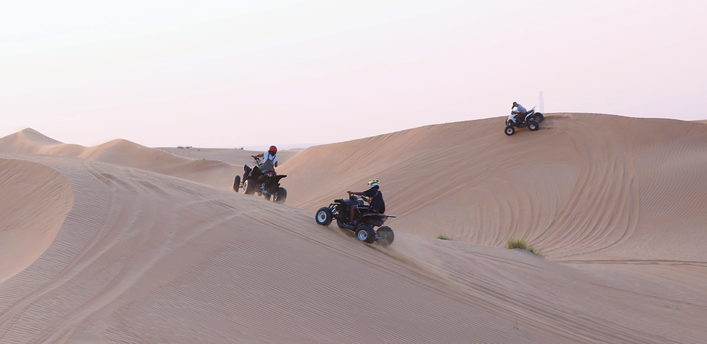 DESERT SAFARI
